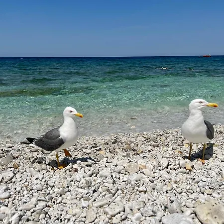 Il Polpoleo Apt In Portoazzurro 아파트